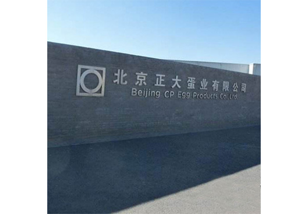 正大(dà)集團蛋業(yè)
